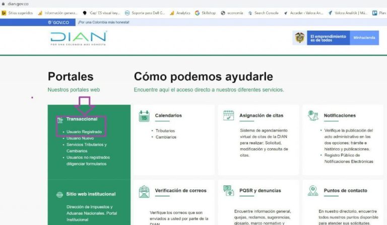 Estas son las personas que deben actualizar el RUT para este año 2026 ...