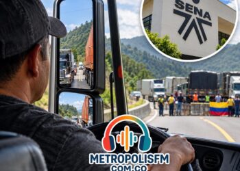 ¿NUEVOS CAMIONEROS SIN PAGAR LICENCIA? LA PROPUESTA QUE BUSCA ABRIRLE CAMINO A UNA NUEVA GENERACIÓN